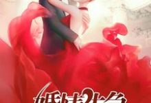 婚情告急小说的无弹窗阅读体验，寻找免费阅读网站-酷悦文学