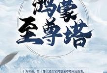 《鸿蒙至尊塔》小说章节列表免费试读,楚霄柳寒烟小说在线阅读-酷悦文学