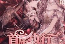 首席执行官，宠妻别过分这本小说在哪里可以看？哪里有免费试读章节？-酷悦文学