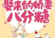 甜蜜诱饵：娶来的娇妻八分糖小说阅读，甜蜜诱饵：娶来的娇妻八分糖完结版-酷悦文学
