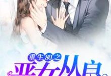 重生80之恶女从良小说的无弹窗阅读体验,寻找免费阅读网站-酷悦文学
