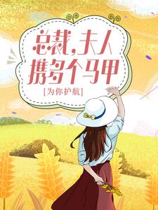 完结版《总裁，夫人携多个马甲为你护航！》在线免费阅读