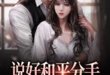 完结版《说好和平分手，你咋又凑上来了》免费阅读-酷悦文学
