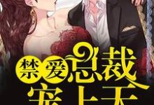 主人公叫陌西染周延琛桃文白井城的小说禁爱总裁宠上天在线阅读章节-酷悦文学