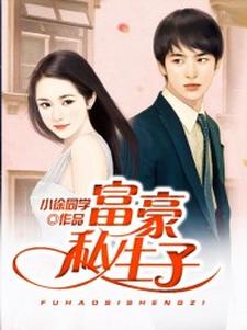 主角陆海晨叶雪辰陆鸿图黑水仙小说完结版在线阅读，富豪私生子免费看