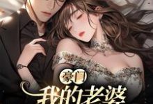 主角天殊顾曦小说豪门:我的老婆平平无奇免费阅读-酷悦文学