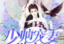 少帅宠妻甜蜜蜜小说阅读，少帅宠妻甜蜜蜜完结版-酷悦文学