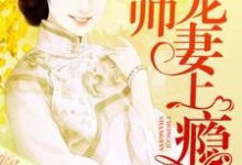 小说《少帅宠妻上瘾》章节阅读-酷悦文学