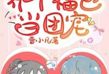 弯弯秦盛小说在线章节免费阅读(养个福包当团宠无弹窗无删减)-酷悦文学