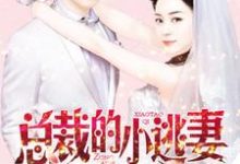 简若羽南宫傲简梦琳蓝紫欣是哪本书的主角？寻找总裁的小逃妻免费阅读-酷悦文学