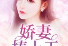 娇妻捧上天小说最新更新在哪里？免费在线看-酷悦文学