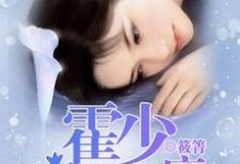 霍少宠妻上瘾小说阅读，霍少宠妻上瘾完结版-酷悦文学