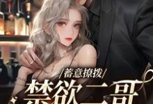 求蓄意撩拨，禁欲二哥低声诱哄小说免费资源-酷悦文学