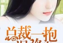 免费看总裁一抱误终身小说的网站有哪些？-酷悦文学