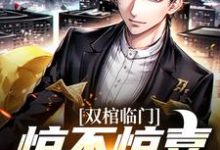 简明小说叫什么（双棺临门？惊不惊喜意不意外免费阅读）-酷悦文学