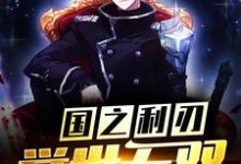 已完结小说《国之利刃:举世无双》章节在线阅读-酷悦文学