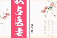 盛玥君元晔的小说在哪里看？免费在线阅读独占医妻-酷悦文学