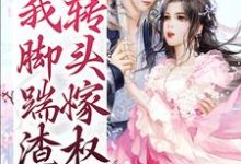 开局我脚踹渣夫,转头嫁权臣小说全文阅读需要付费吗?寻找免费资源-酷悦文学