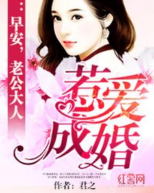 主角陆小川赫连徵小说完结版在线阅读，惹爱成婚免费看