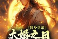 替身皇帝，大婚之日假戏真做了这本小说完结了吗？免费查看最新章节-酷悦文学