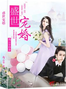 寻找盛世宠婚小说的最新更新章节