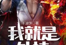 我就是外挂最新章节,我就是外挂免费阅读-酷悦文学