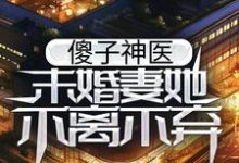 免费在线阅读傻子神医：未婚妻她不离不弃小说的正规网站有哪些？-酷悦文学