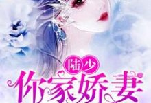 萧妃陆祁容白芷灵为主角的小说好看吗？免费读陆少，你家娇妻要黑化-酷悦文学