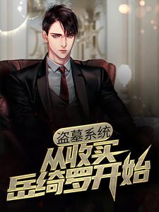 求盗墓系统：从收买岳绮罗开始小说免费资源