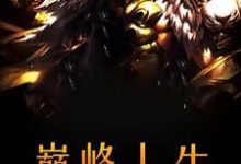 巅峰人生小说,巅峰人生章节在线阅读-酷悦文学