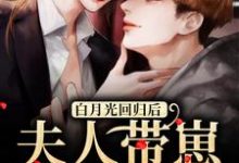 白月光回归后，夫人带崽要离婚小说最新章节在哪里可以读到？-酷悦文学