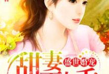 盛世婚宠这本小说怎么样？免费在线阅读试试-酷悦文学