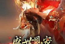 小说《盛世恩宠：皇上你太粘人》章节阅读-酷悦文学