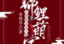 已完结小说《锦鲤萌宝：全能娘亲是大佬》在线章节阅读-酷悦文学