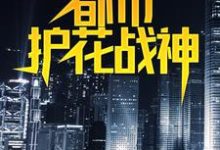 《都市护花战神》小说大结局免费试读 叶真林清音小说-酷悦文学