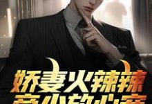 已完结小说《娇妻火辣辣:帝少放心宠》章节在线阅读-酷悦文学