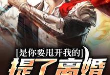 是你要甩开我的，提了离婚你哭啥？小说最新章节在哪里可以读到？-酷悦文学