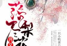 落尽梨花月又西小说最新章节在哪里可以读到？-酷悦文学