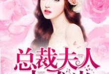 总裁夫人太难当最新章节，总裁夫人太难当章节在线阅读-酷悦文学