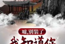 林羽为主角的小说嘘，别装了，我知道你所有过往在线阅读-酷悦文学