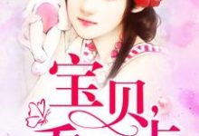 《宝贝乖一点》小说章节列表免费试读，叶秋词申城叶秋小说在线阅读-酷悦文学