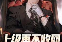 江小北的小说在哪里看？免费在线阅读上级再不收网，我就成老大了-酷悦文学