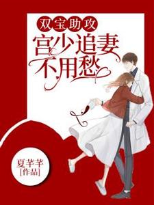 完结版《双宝助攻，宫少追妻不用愁》免费阅读