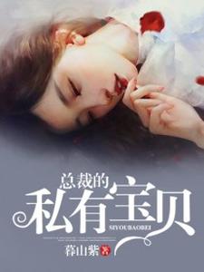 求总裁的私有宝贝小说的全文免费阅读链接