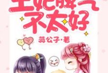 王妃脾气不太好小说阅读，王妃脾气不太好完结版-酷悦文学
