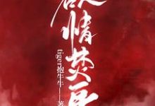 欲情焚身秦舒雅江淮霆小说大结局免费试读-酷悦文学