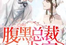 顾卿歌陆长霆为主角的小说腹黑总裁心尖宠在线阅读-酷悦文学