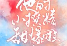 《他的小撩精甜爆啦》小说大结局免费试读 夏绾绾江野小说-酷悦文学