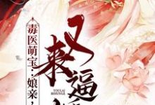 完结版《毒医萌宝：娘亲，父皇又来逼婚了》免费阅读-酷悦文学