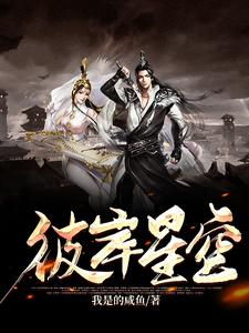 臣风的小说在哪里看？免费在线阅读彼岸星空